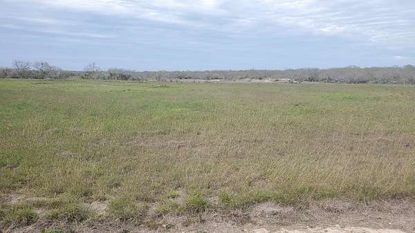 1.16 Acres of Residential Land for Sale in Riviera, Texas