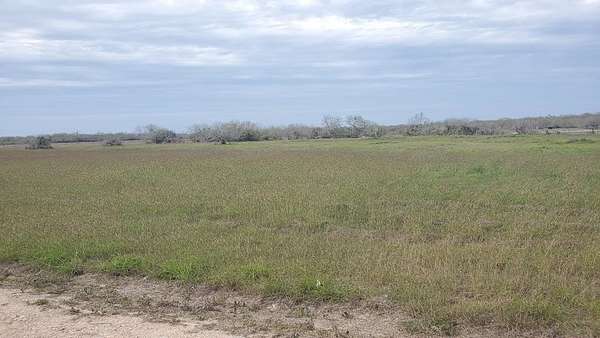 1 Acre of Residential Land for Sale in Riviera, Texas