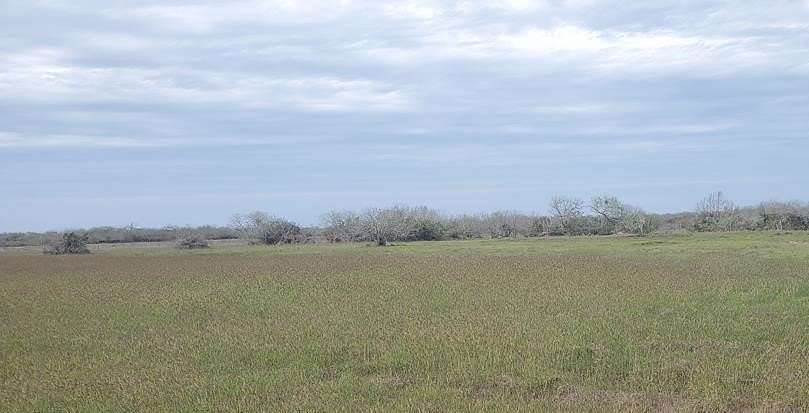 0.98 Acres of Residential Land for Sale in Riviera, Texas