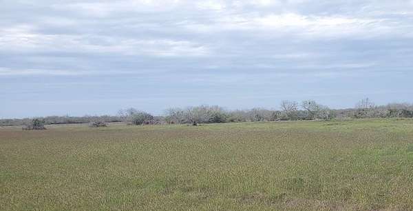 0.98 Acres of Residential Land for Sale in Riviera, Texas