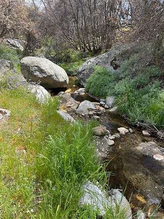 20.2 Acres of Recreational Land for Sale in Caliente, California