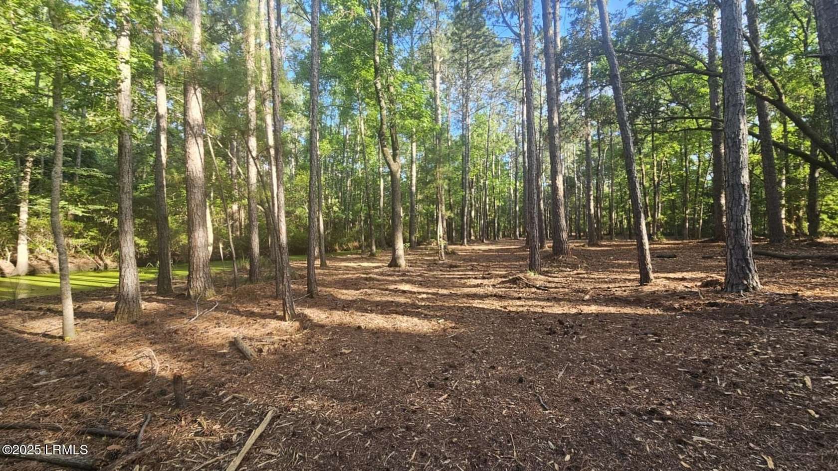 2.63 Acres of Residential Land for Sale in Ladys Island, South Carolina