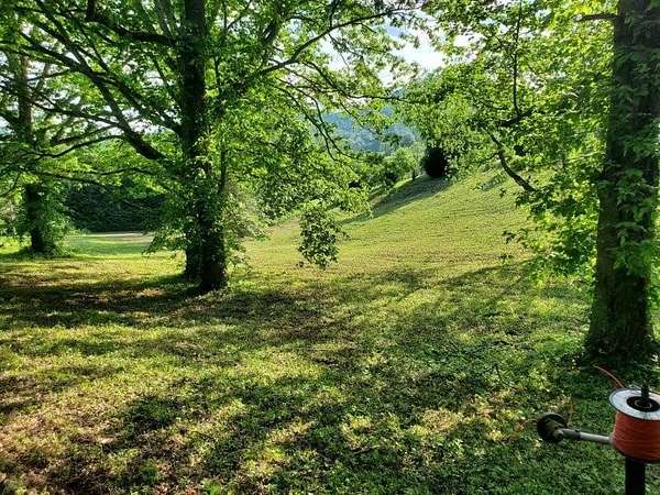 1.23 Acres of Land for Sale in Hayesville, North Carolina
