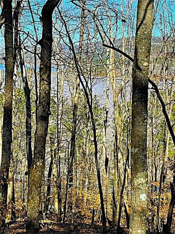 2 Acres of Residential Land for Sale in Chatsworth, Georgia