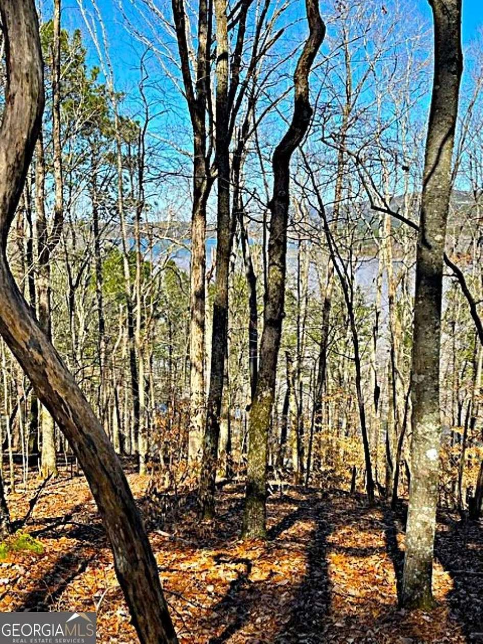 2 Acres of Residential Land for Sale in Chatsworth, Georgia