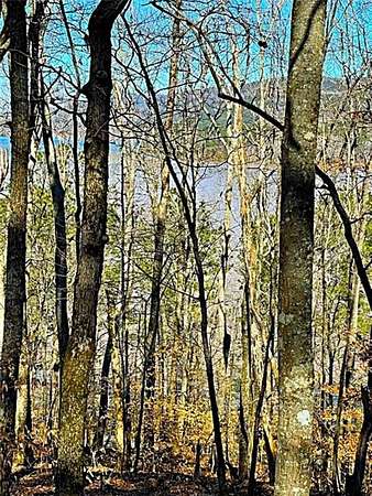 2 Acres of Residential Land for Sale in Chatsworth, Georgia