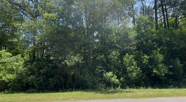0.46 Acres of Residential Land for Sale in Theodore, Alabama