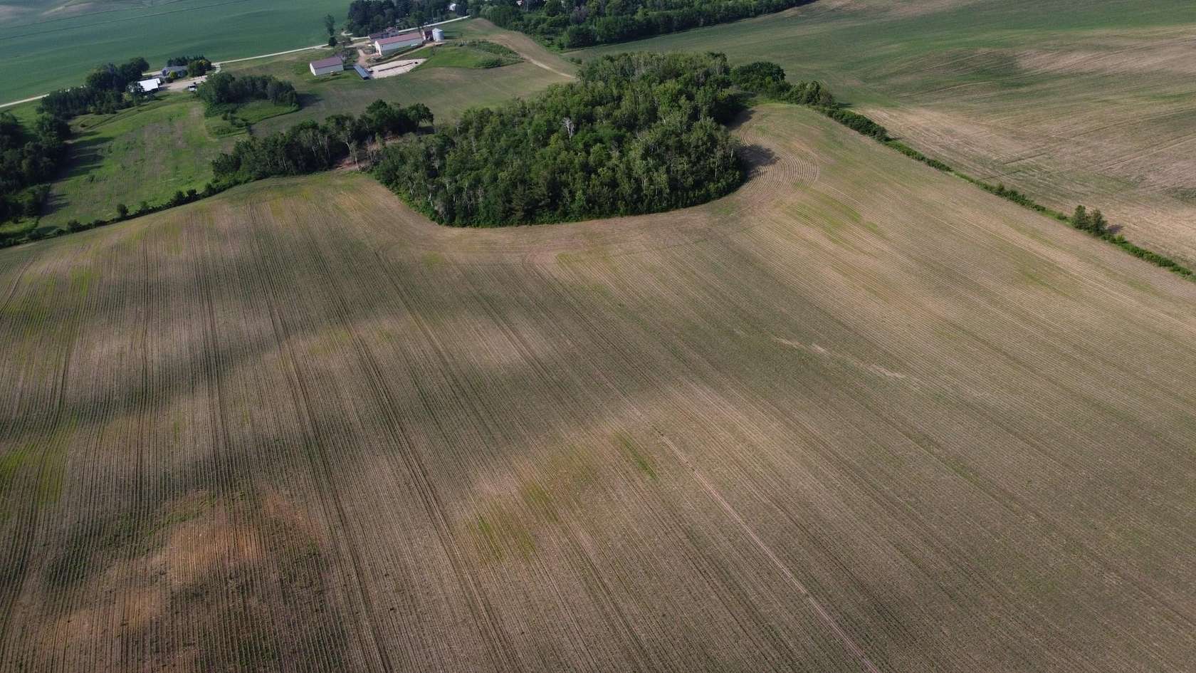 44.7 Acres of Agricultural & Residential Land for Sale in Hampton, Minnesota