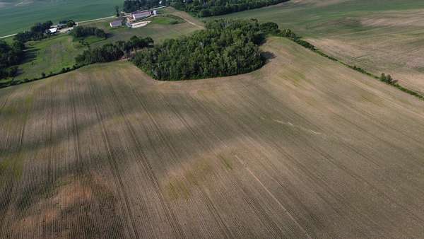 44.7 Acres of Agricultural & Residential Land for Sale in Hampton, Minnesota