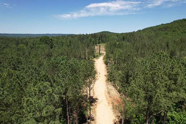 23 Acres of Recreational Land for Sale in Tuscumbia, Alabama