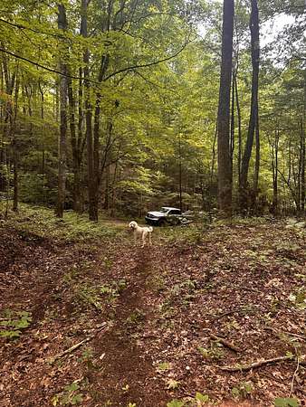 5.13 Acres of Land for Sale in Cosby, Tennessee