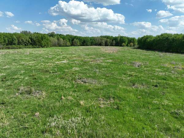 37.2 Acres of Recreational Land & Farm for Sale in Aredale, Iowa