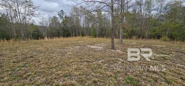 19 Acres of Recreational Land for Sale in Goodway, Alabama