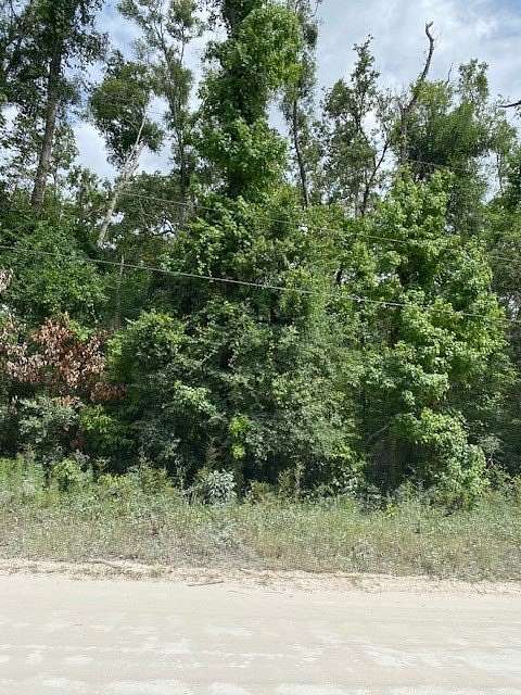 2.4 Acres of Residential Land for Sale in Old Town, Florida