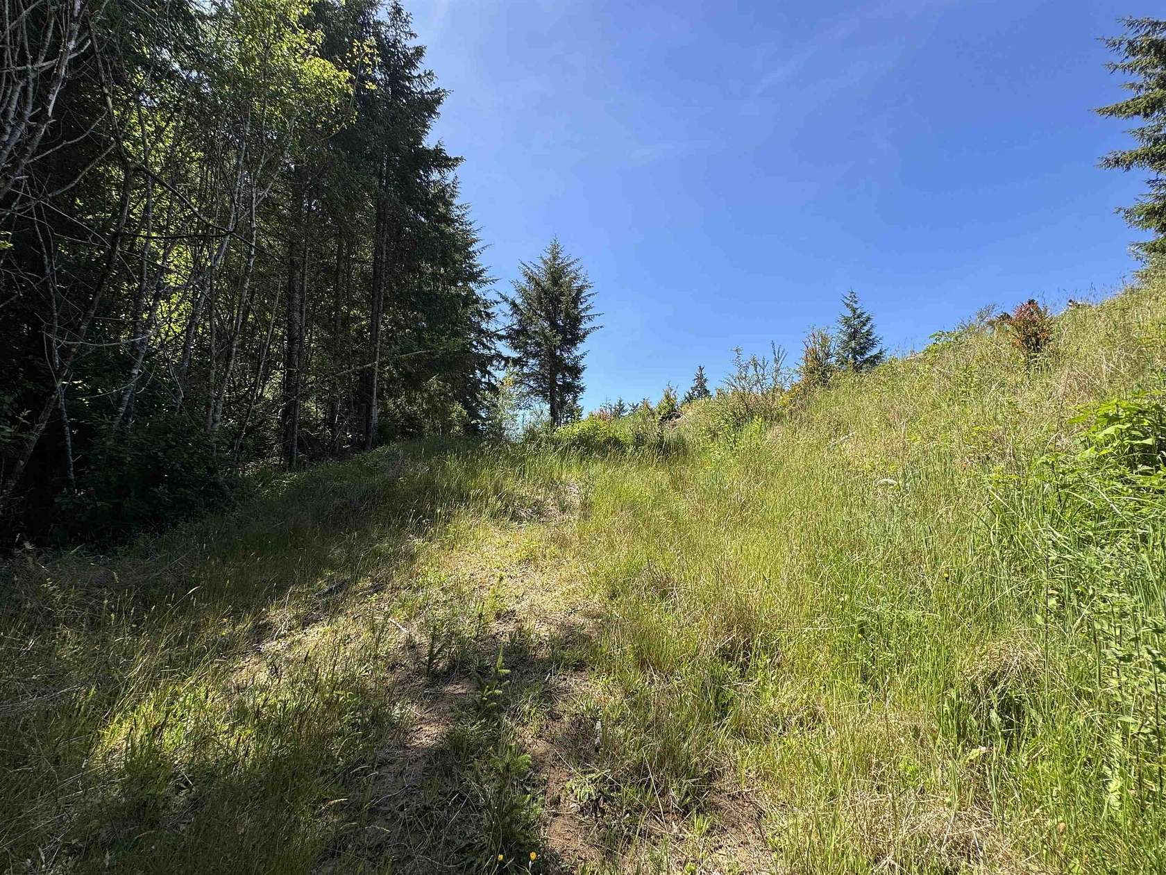 2.12 Acres of Residential Land for Sale in Crescent City, California