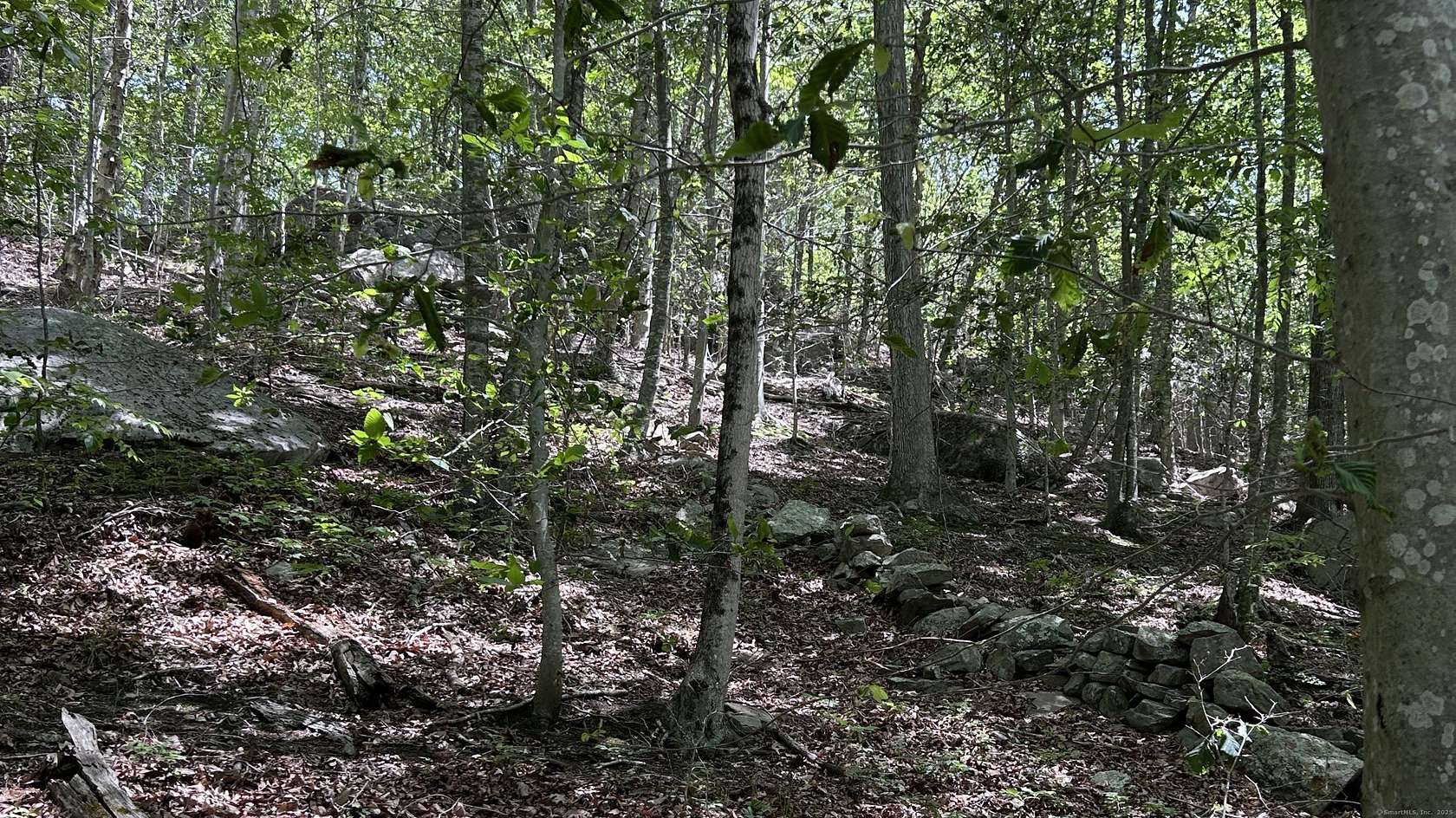29.7 Acres of Land for Sale in East Haddam, Connecticut