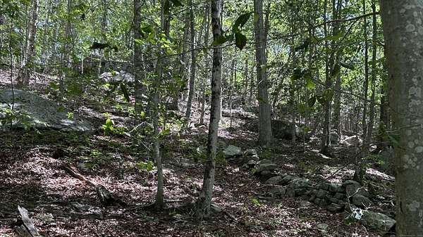 29.7 Acres of Land for Sale in East Haddam, Connecticut