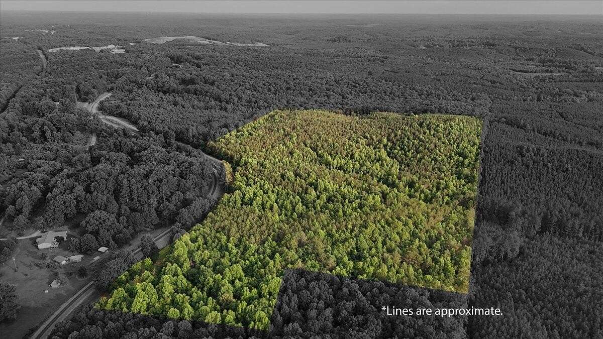 50 Acres of Recreational Land for Sale in Lynn, Alabama