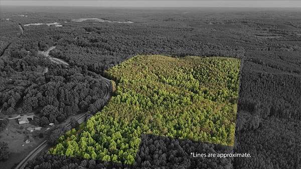 50 Acres of Recreational Land for Sale in Lynn, Alabama