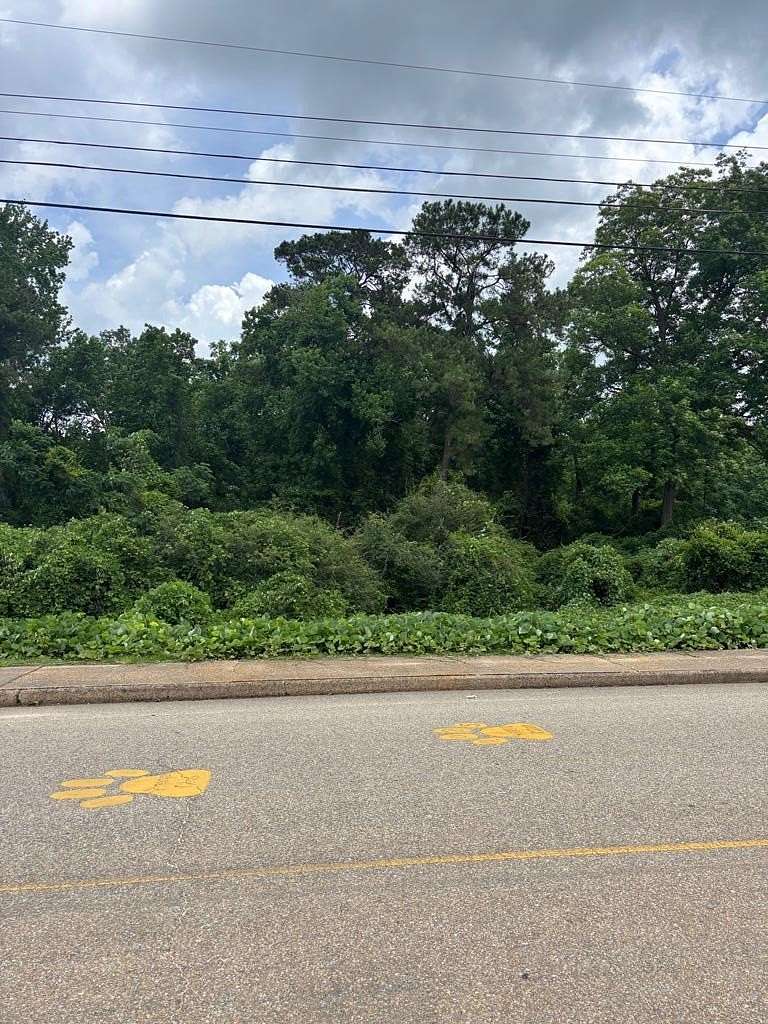 1 Acre of Land for Sale in Ariton, Alabama