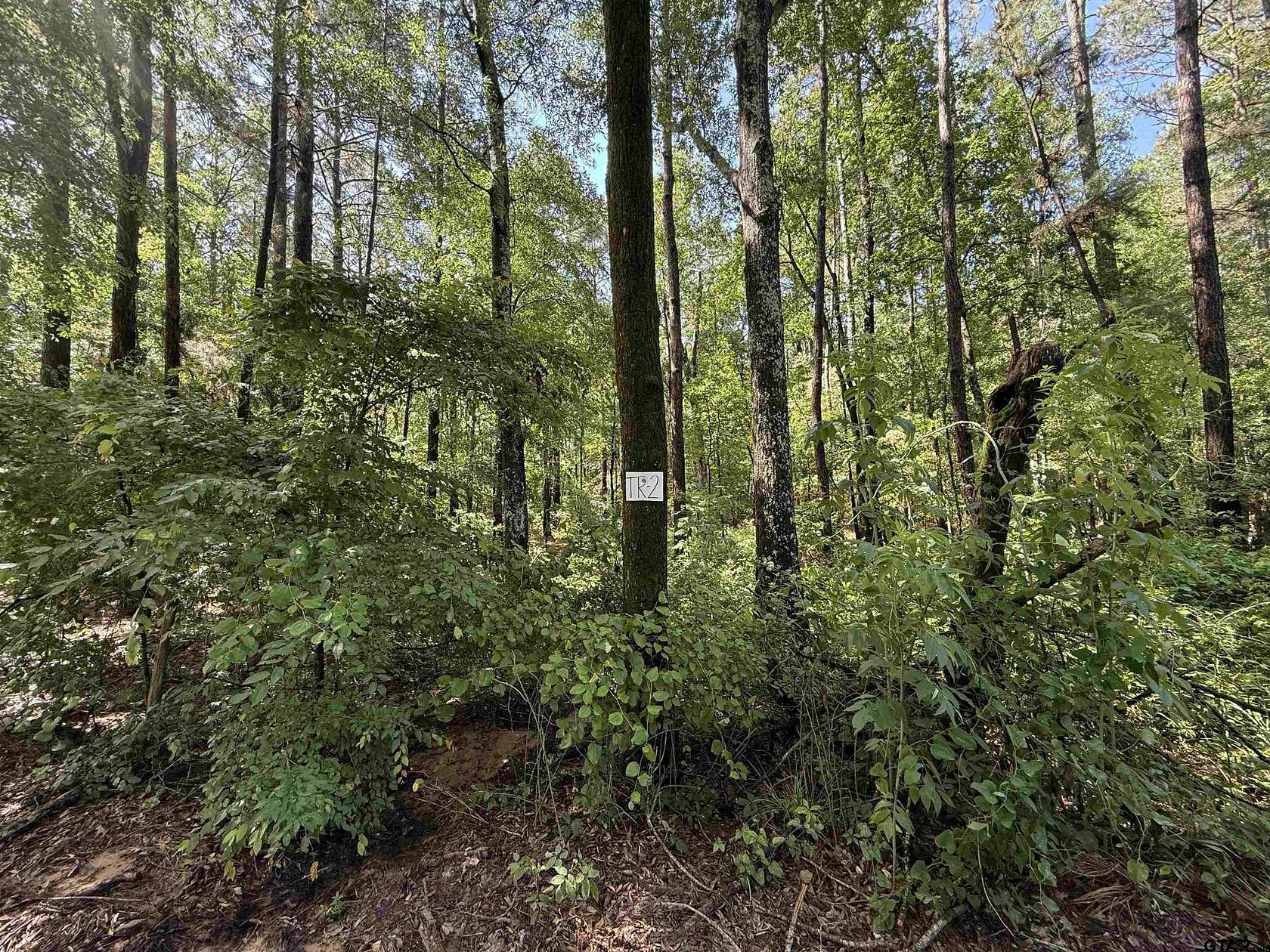 10 Acres of Agricultural Land for Sale in Henderson, Texas