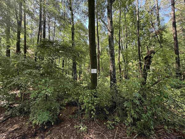 10 Acres of Agricultural Land for Sale in Henderson, Texas