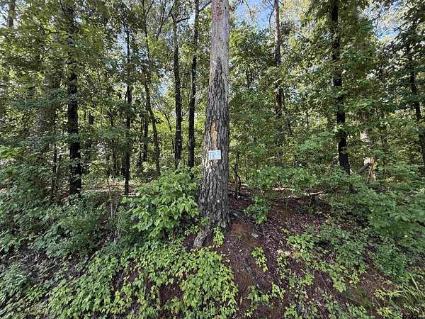 10 Acres of Agricultural Land for Sale in Henderson, Texas