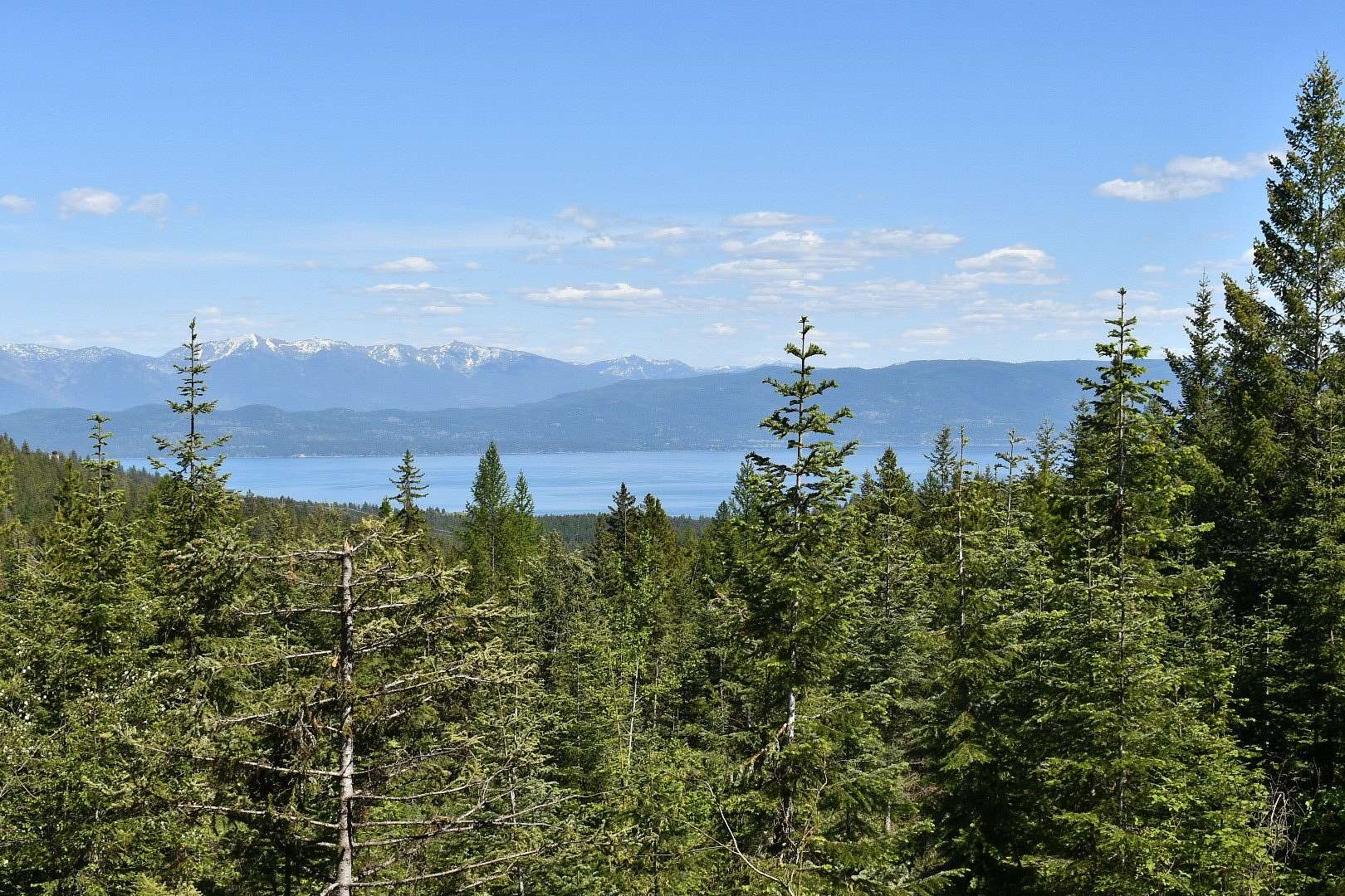 40 Acres of Recreational Land for Sale in Lakeside, Montana
