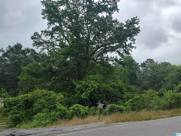 4.3 Acres of Land for Sale in Cropwell, Alabama