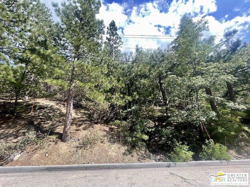0.45 Acres of Land for Sale in Angelus Oaks, California