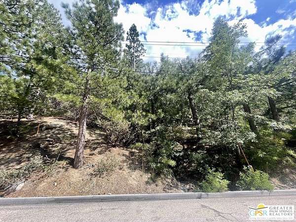 0.45 Acres of Land for Sale in Angelus Oaks, California