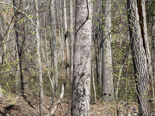 0.52 Acres of Land for Sale in Moneta, Virginia