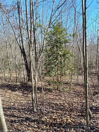 3.86 Acres of Residential Land for Sale in North Wilkesboro, North Carolina