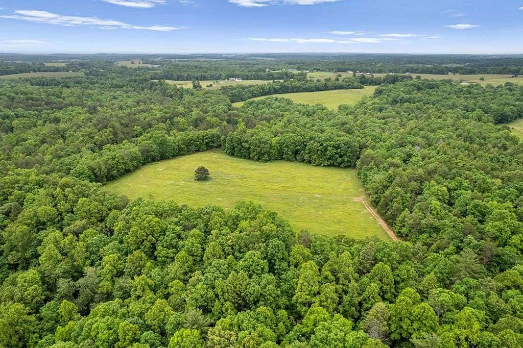 75 Acres of Land for Sale in Deer Lodge, Tennessee