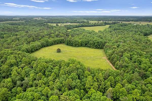75 Acres of Land for Sale in Deer Lodge, Tennessee