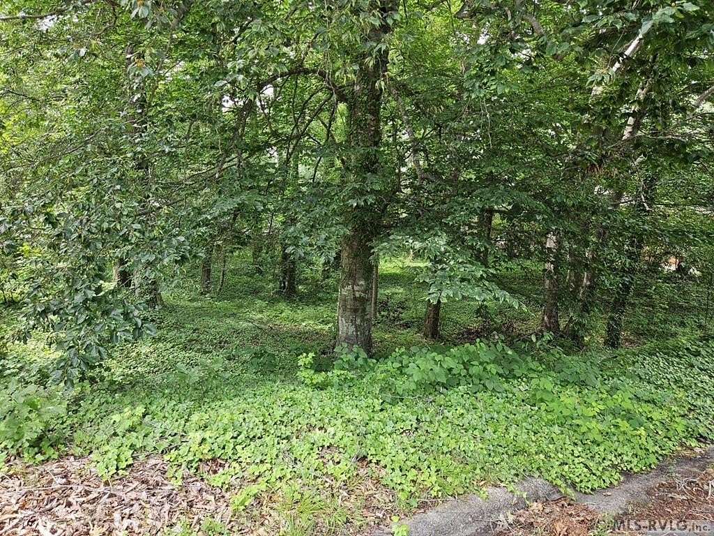 0.35 Acres of Residential Land for Sale in Roanoke Rapids, North Carolina