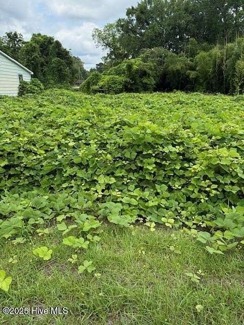 0.33 Acres of Residential Land for Sale in Maysville, North Carolina