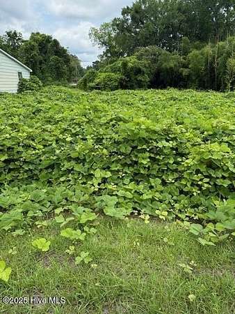 0.33 Acres of Residential Land for Sale in Maysville, North Carolina