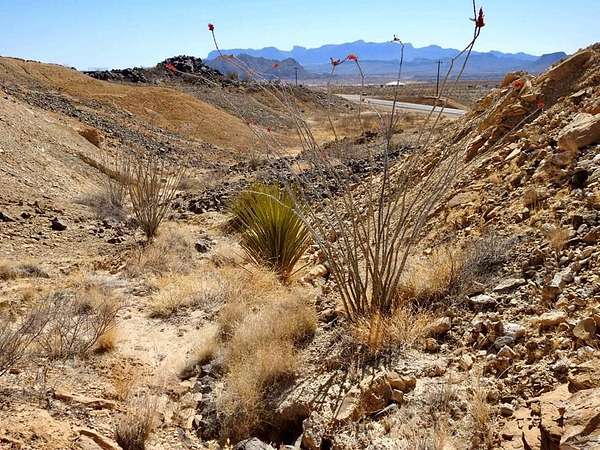 10 Acres of Residential Land for Sale in Terlingua, Texas