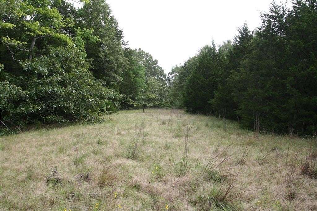 21 Acres of Recreational Land for Sale in Grand Saline, Texas