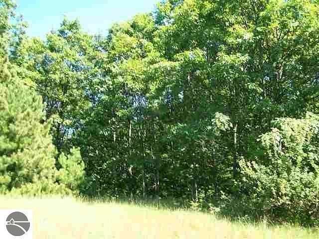 0.66 Acres of Residential Land for Sale in Rapid City, Michigan