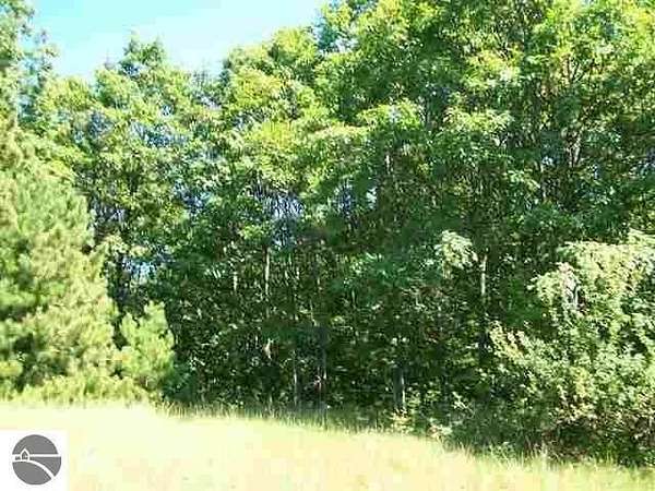 0.66 Acres of Residential Land for Sale in Rapid City, Michigan