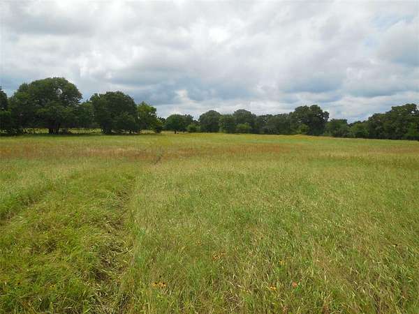 10.1 Acres of Land for Sale in Ranger, Texas