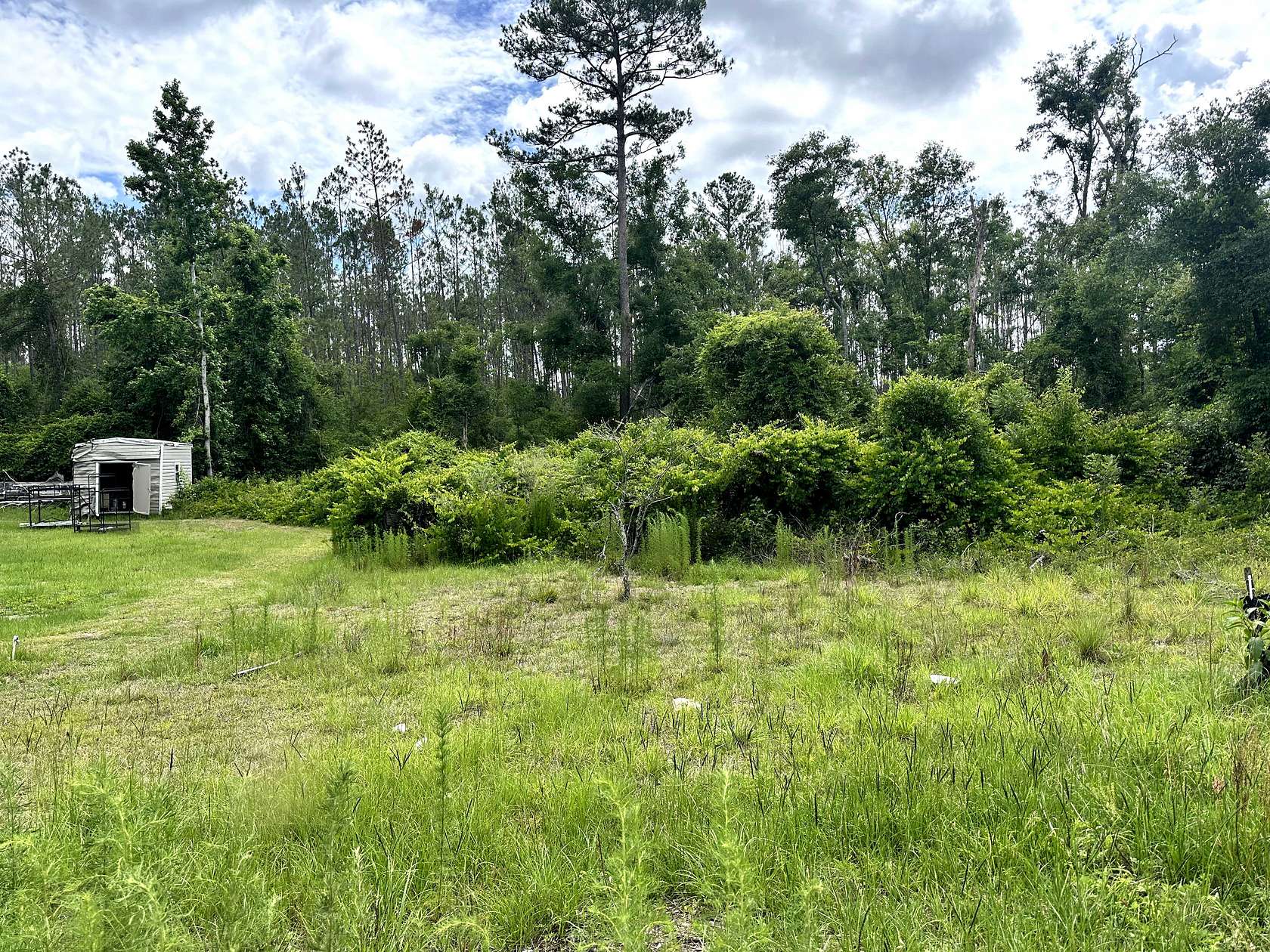 0.25 Acres of Land for Sale in Live Oak, Florida