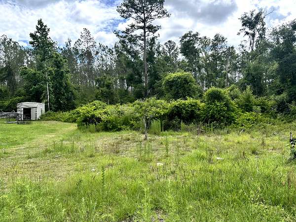 0.25 Acres of Land for Sale in Live Oak, Florida