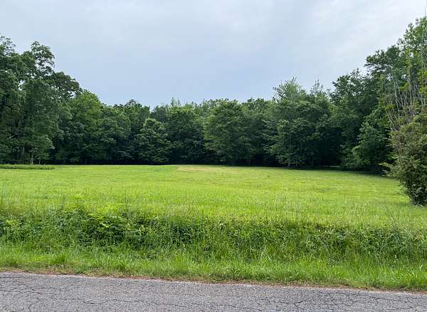 19 Acres of Land for Sale in Adamsville, Tennessee