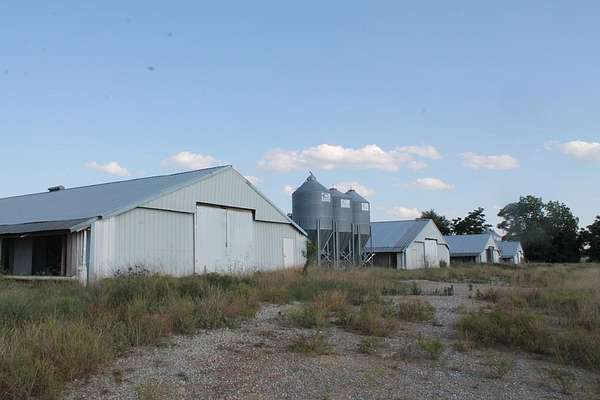 46.3 Acres of Land for Sale in Unadilla, Georgia