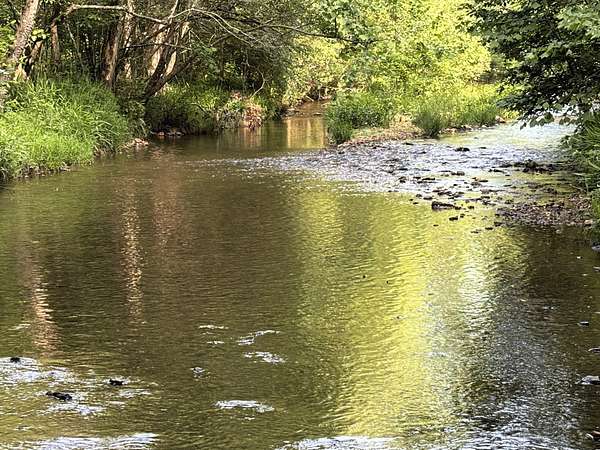 388 Acres of Improved Recreational Land & Farm for Sale in Savannah, Tennessee