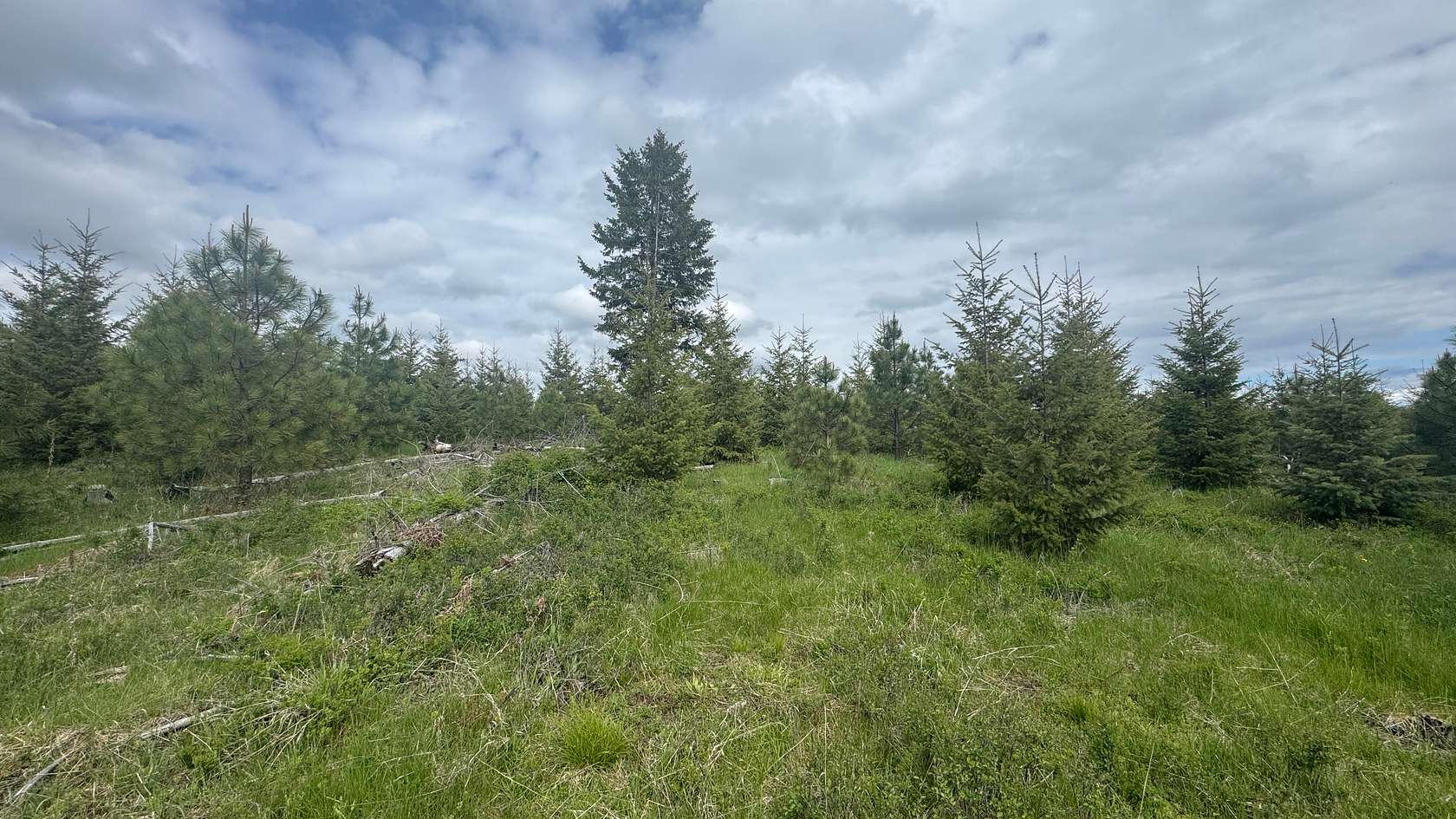20.4 Acres of Land for Sale in Orofino, Idaho