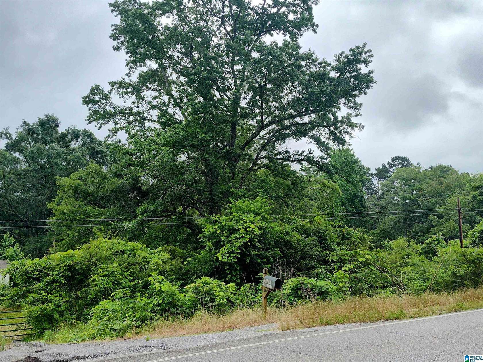 1 Acre of Land for Sale in Talladega, Alabama